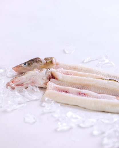 長崎県対馬　神経締め穴子の開き　1kg（お試し）　冷凍