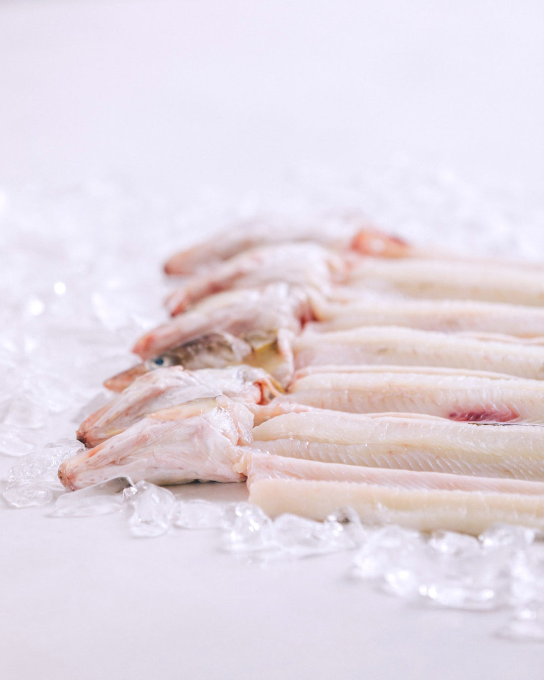 Frozen filleted conger eel from Tsushima, Nagasaki Prefecture, 2.5kg