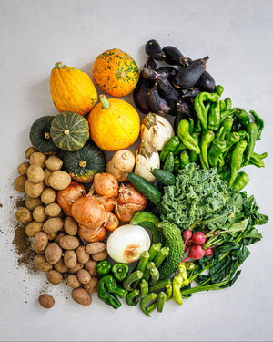 埼玉県小川町　不揃い野菜セット（割安規格）