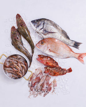 瀬戸内海 明石浦漁港 旬の魚介お試しセット（4～6種・2kg程度）