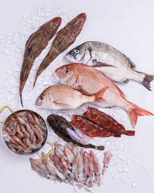 瀬戸内海 明石浦漁港 旬の魚介セット A（4～6種・2.5～3kg程度）