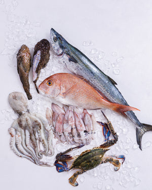 瀬戸内海 明石浦漁港 旬の魚介セット B（4～6種・4～5kg程度）