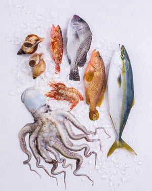 日本海 富山湾 旬の魚介セット B（3～5種・4kg程度）