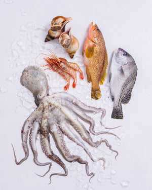 日本海 富山湾 旬の魚介セット A（3～5種・3.5kg程度）