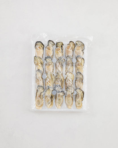 Toyama Bay Seasonal Seafood Set A (3-5 types, approximately 2.5 kg)