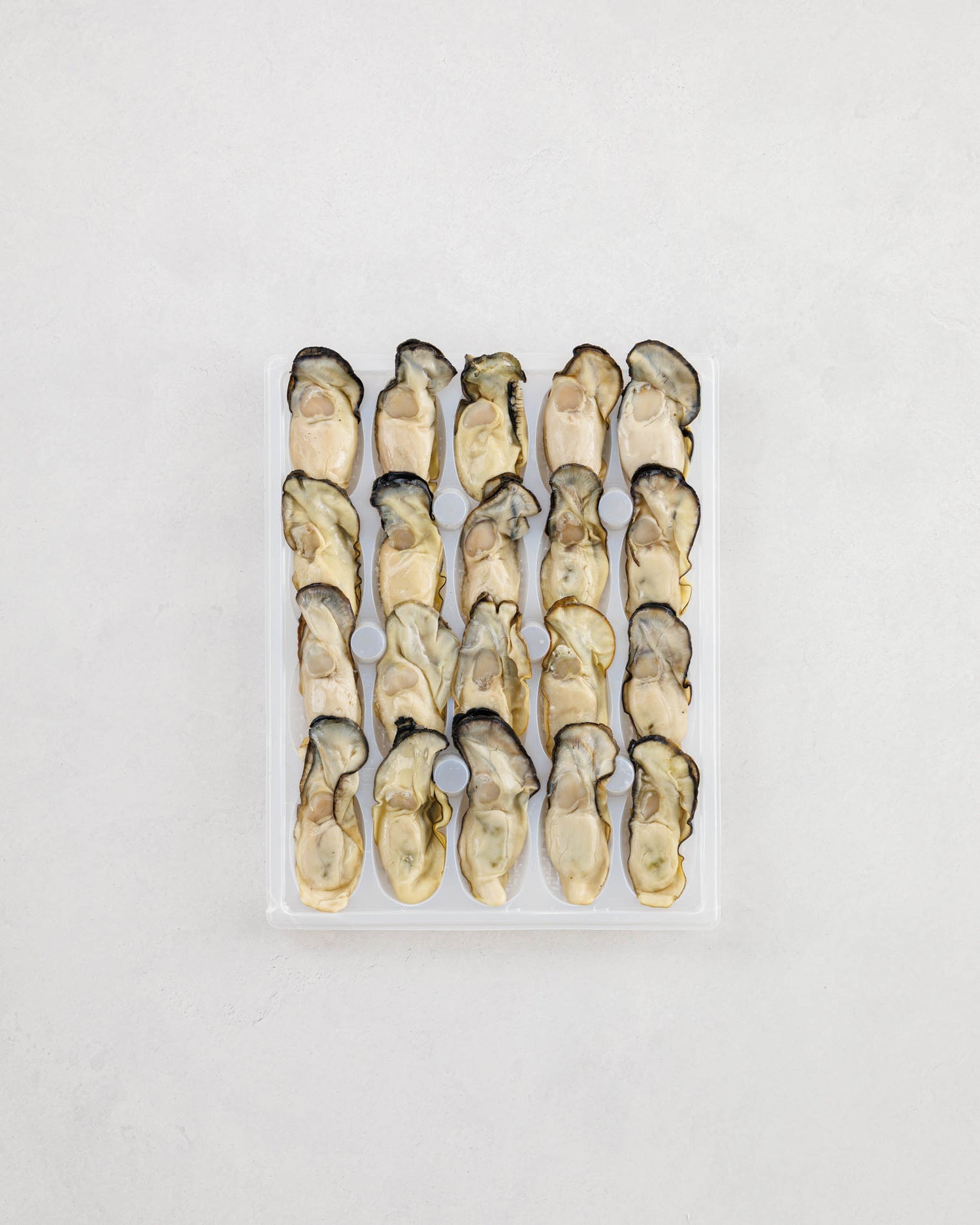 Toyama Bay Seasonal Seafood Set A (3-5 types, approximately 2.5 kg)