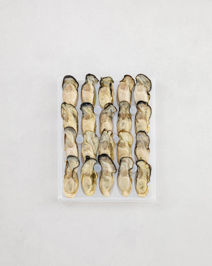 Toyama Bay Seasonal Seafood Set A (3-5 types, approximately 2.5 kg)