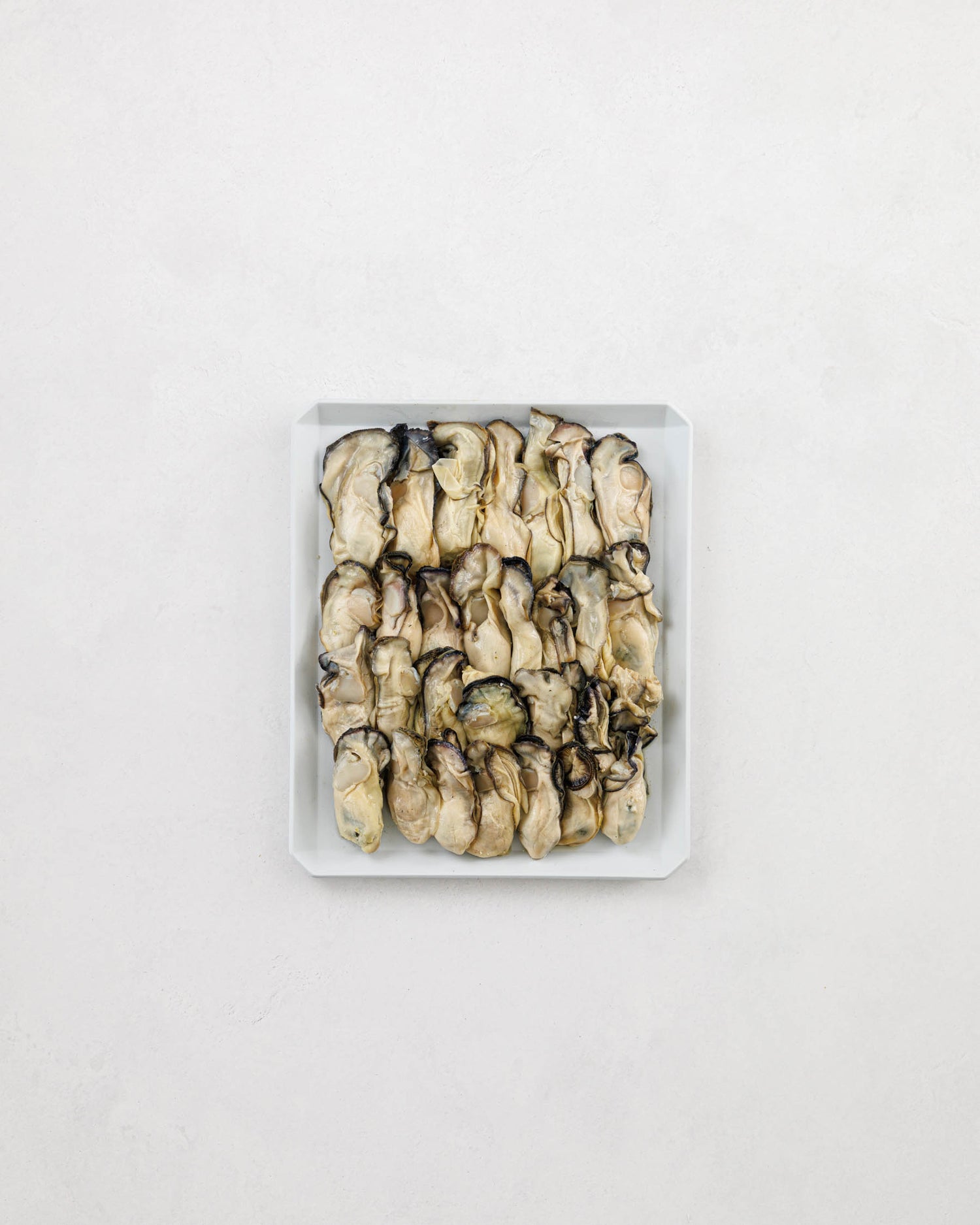 Toyama Bay Seasonal Seafood Set A (3-5 types, approximately 2.5 kg)