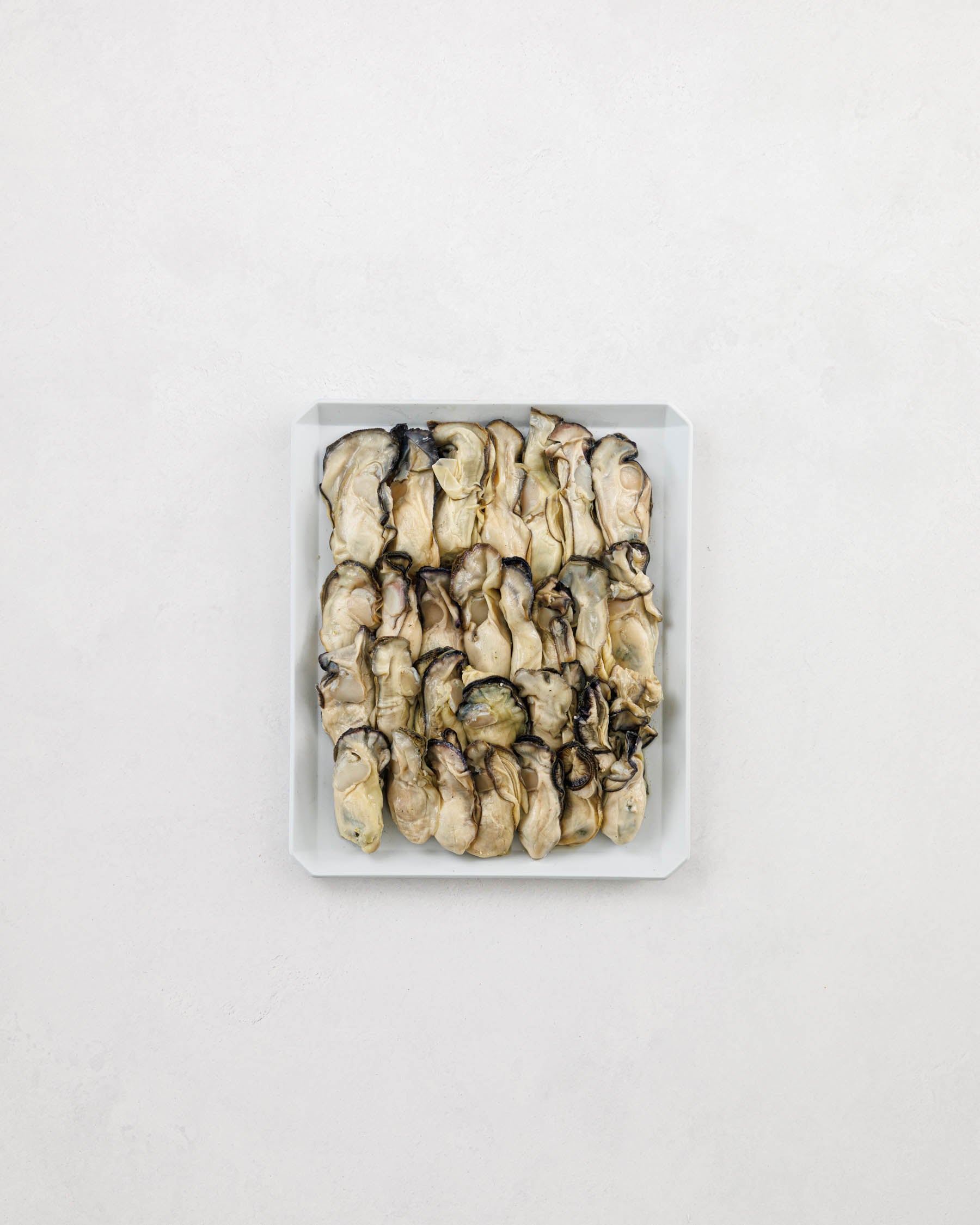 Toyama Bay Seasonal Seafood Set A (3-5 types, approximately 2.5 kg)