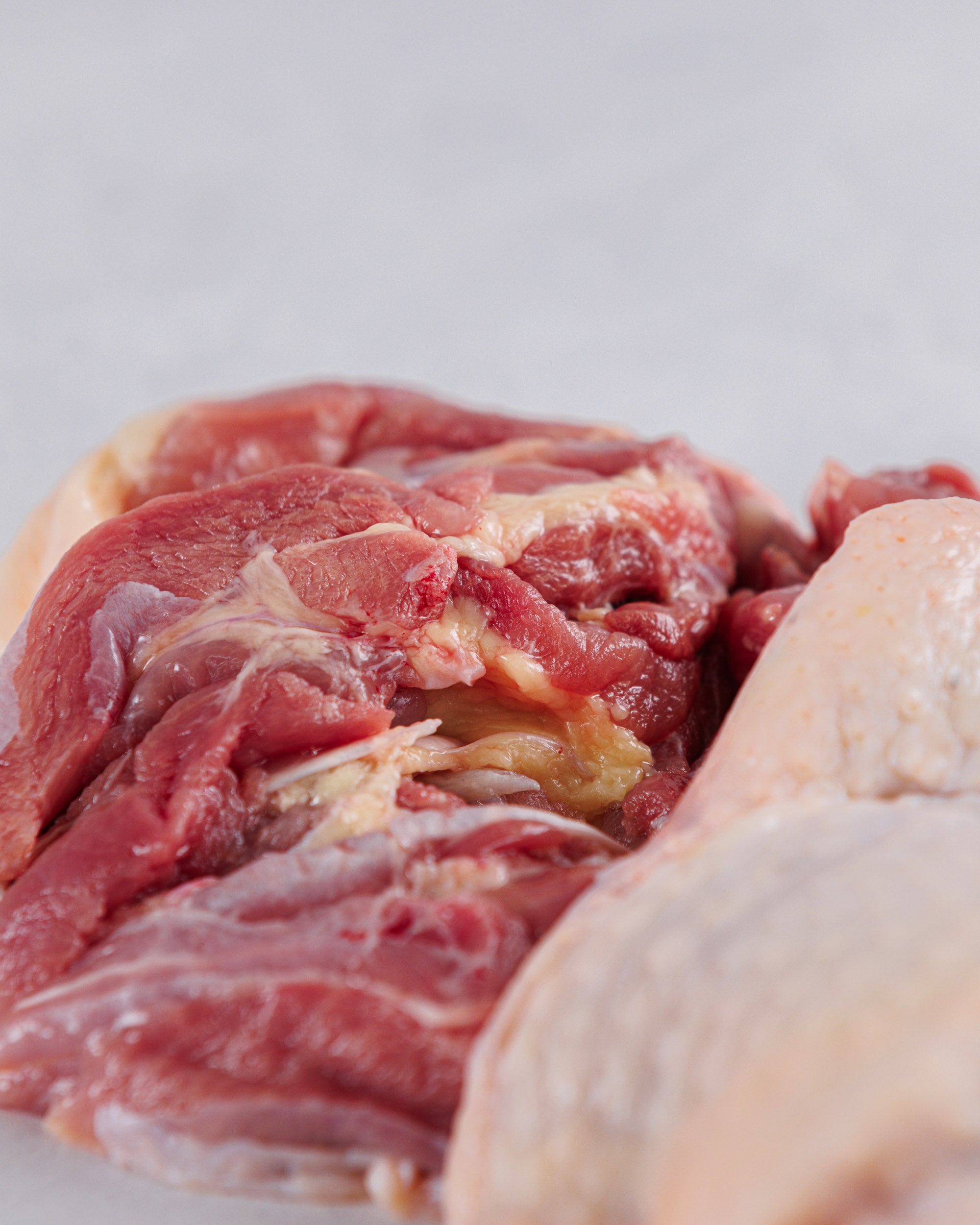 Kamogawa, Chiba Prefecture, Game Meat, Deer Shintama, 2 packs (1.2kg-1.5kg), Frozen