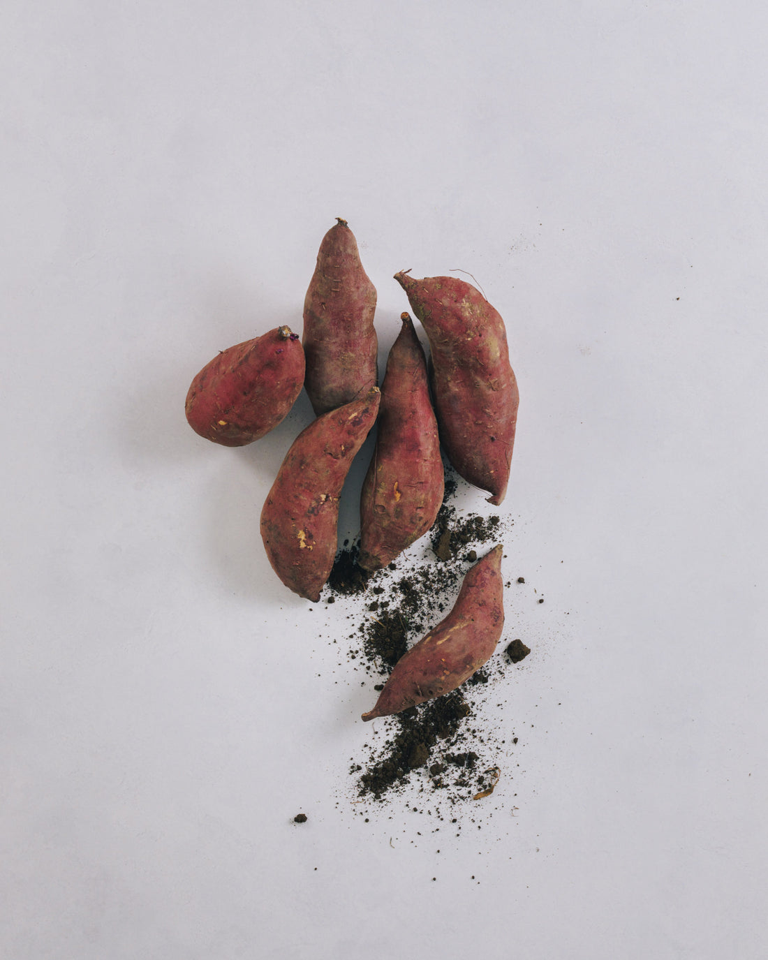 千葉県館山・南房総　さつまいも（シルクスイート）　10kg