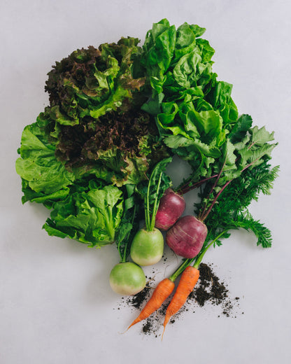 千葉県館山・南房総　サラダ野菜セット