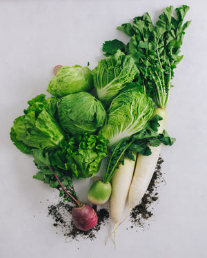 Chiba Prefecture Tateyama and Minamiboso seasonal vegetable trial set