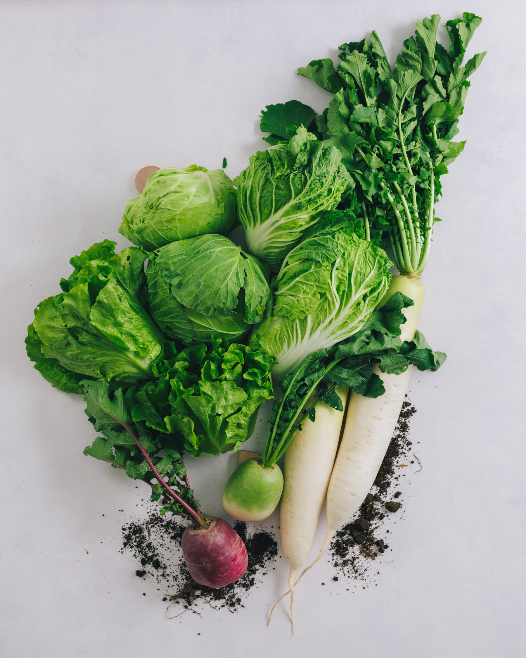 千葉県館山・南房総　旬の野菜お試しセット