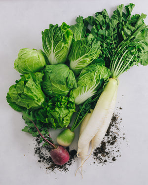 千葉県館山・南房総　旬の野菜セットA（5～7種）