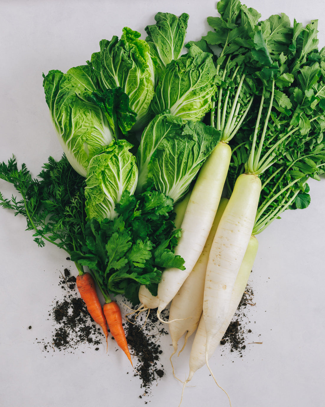 千葉県館山・南房総　鍋野菜セット