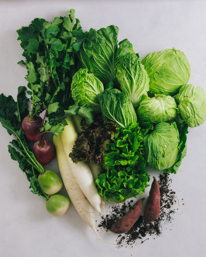 千葉県館山・南房総　旬の野菜セットA 大容量パック