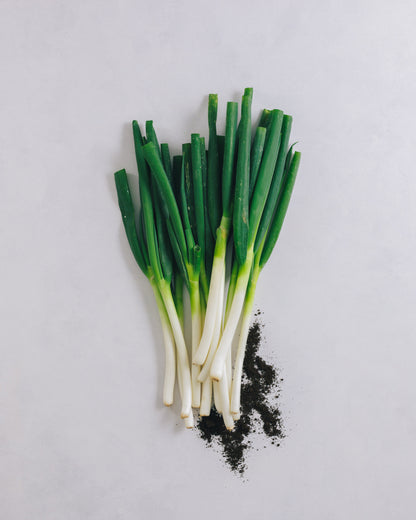 埼玉県小川町　長ネギ　3kg