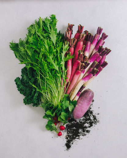 Ogawamachi, Saitama Prefecture Seasonal Vegetable Set A (5-7 varieties)