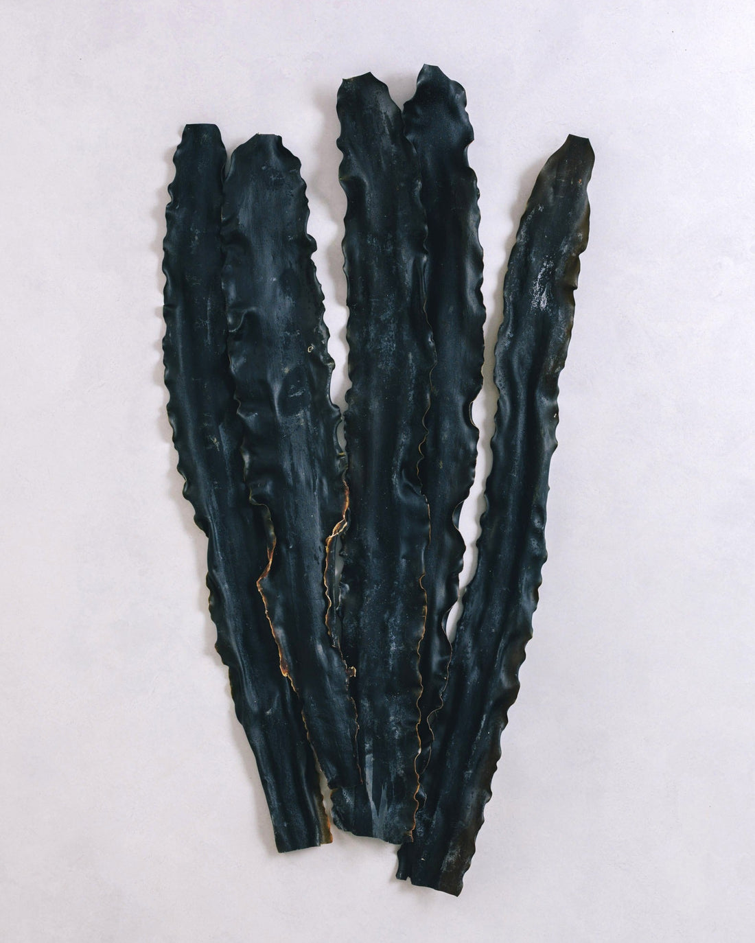 北海道礼文島　2025年夏獲れ利尻昆布　プレミアム　300g　1pc