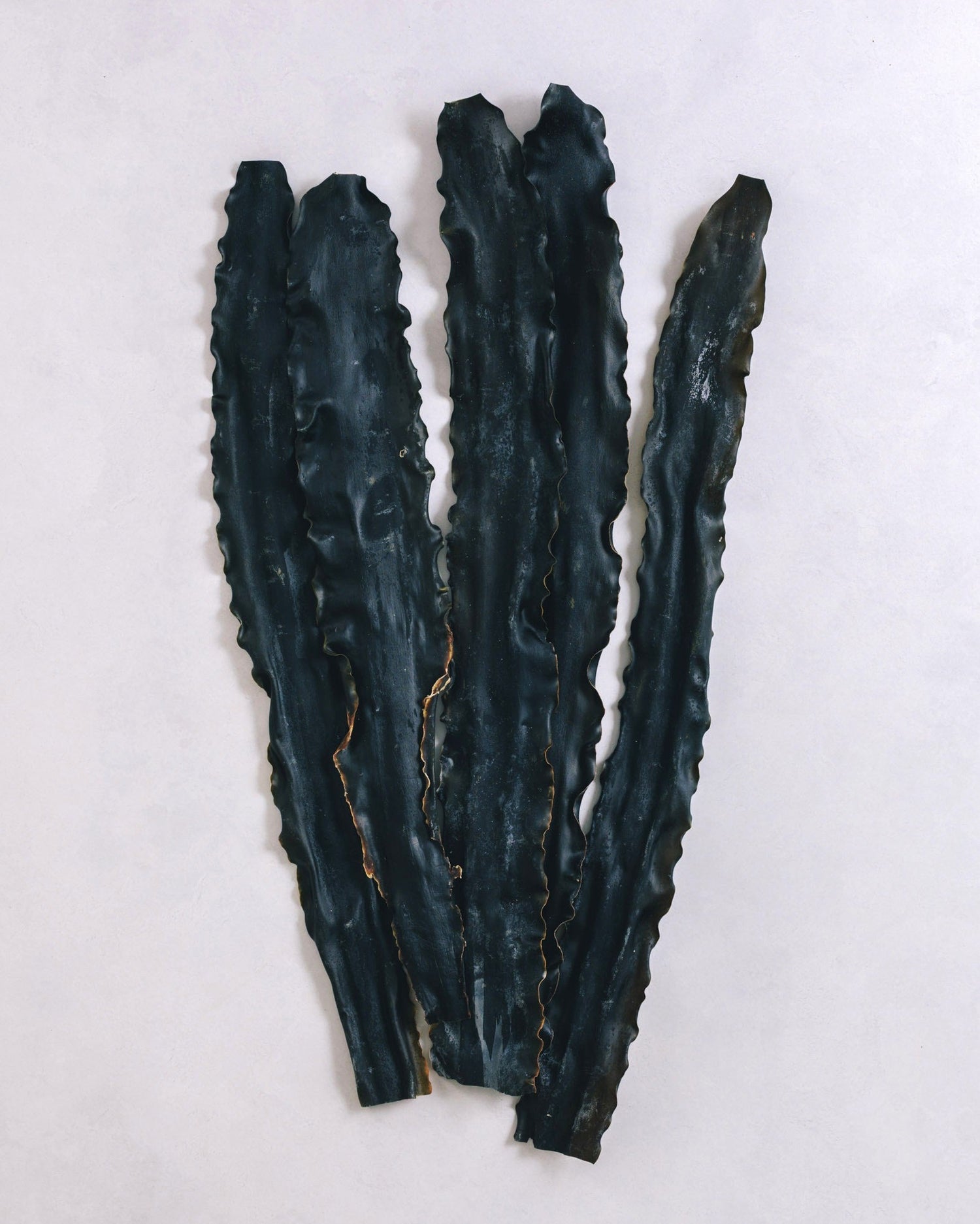 北海道礼文島　2025年夏獲れ利尻昆布　プレミアム　300g　1pc