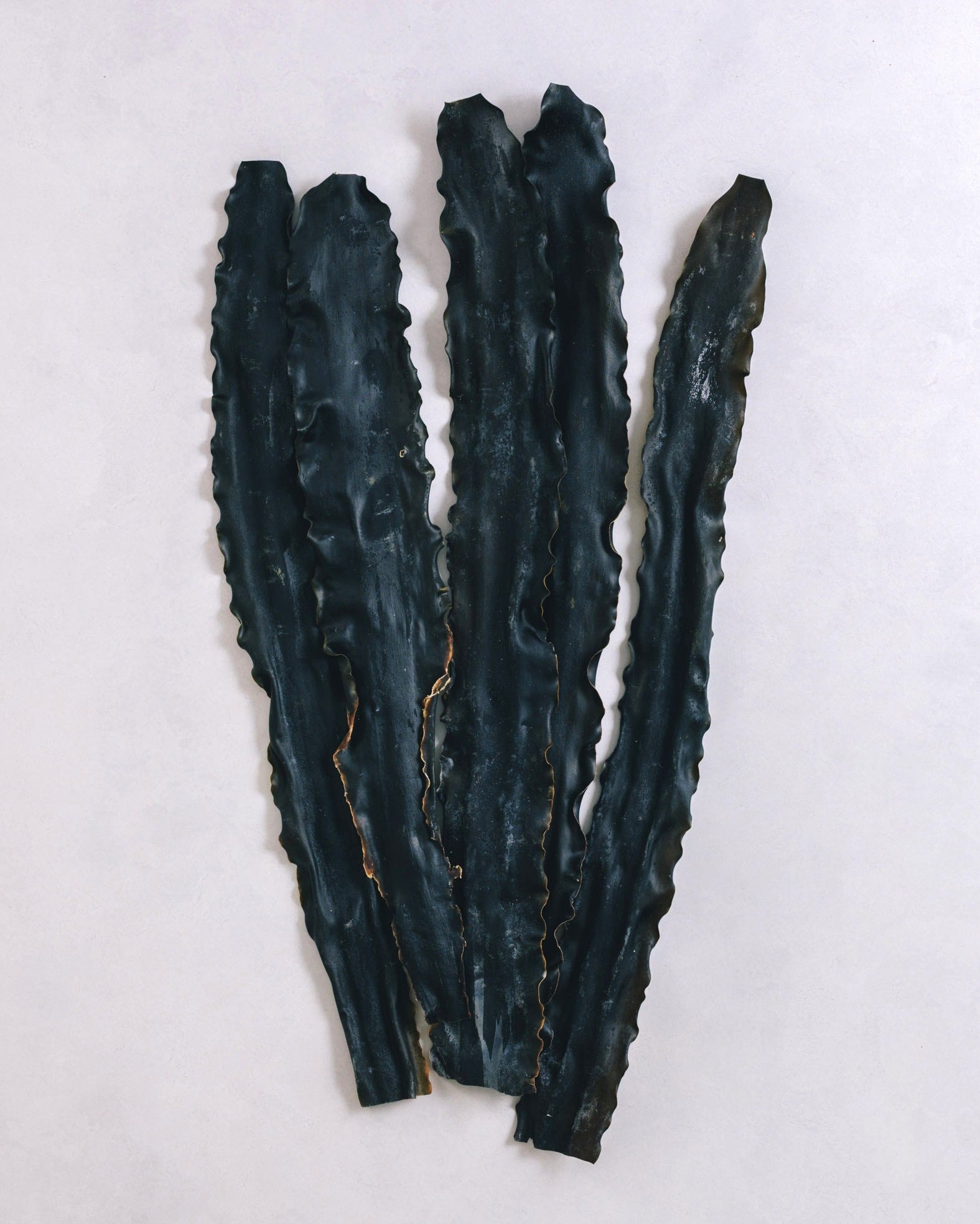 北海道礼文島　2025年夏獲れ利尻昆布　プレミアム　300g　1pc