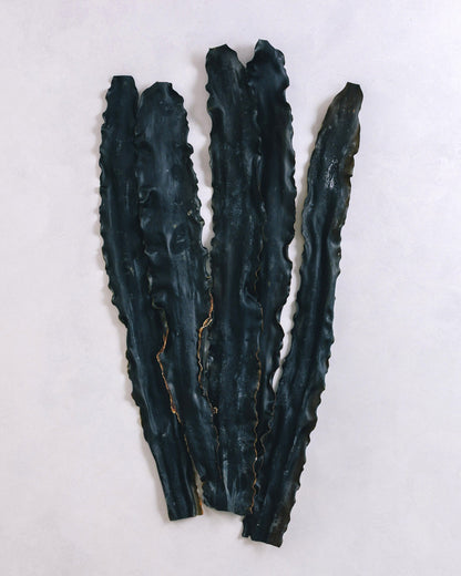 北海道礼文島　2025年夏獲れ利尻昆布　プレミアム　300g　1pc