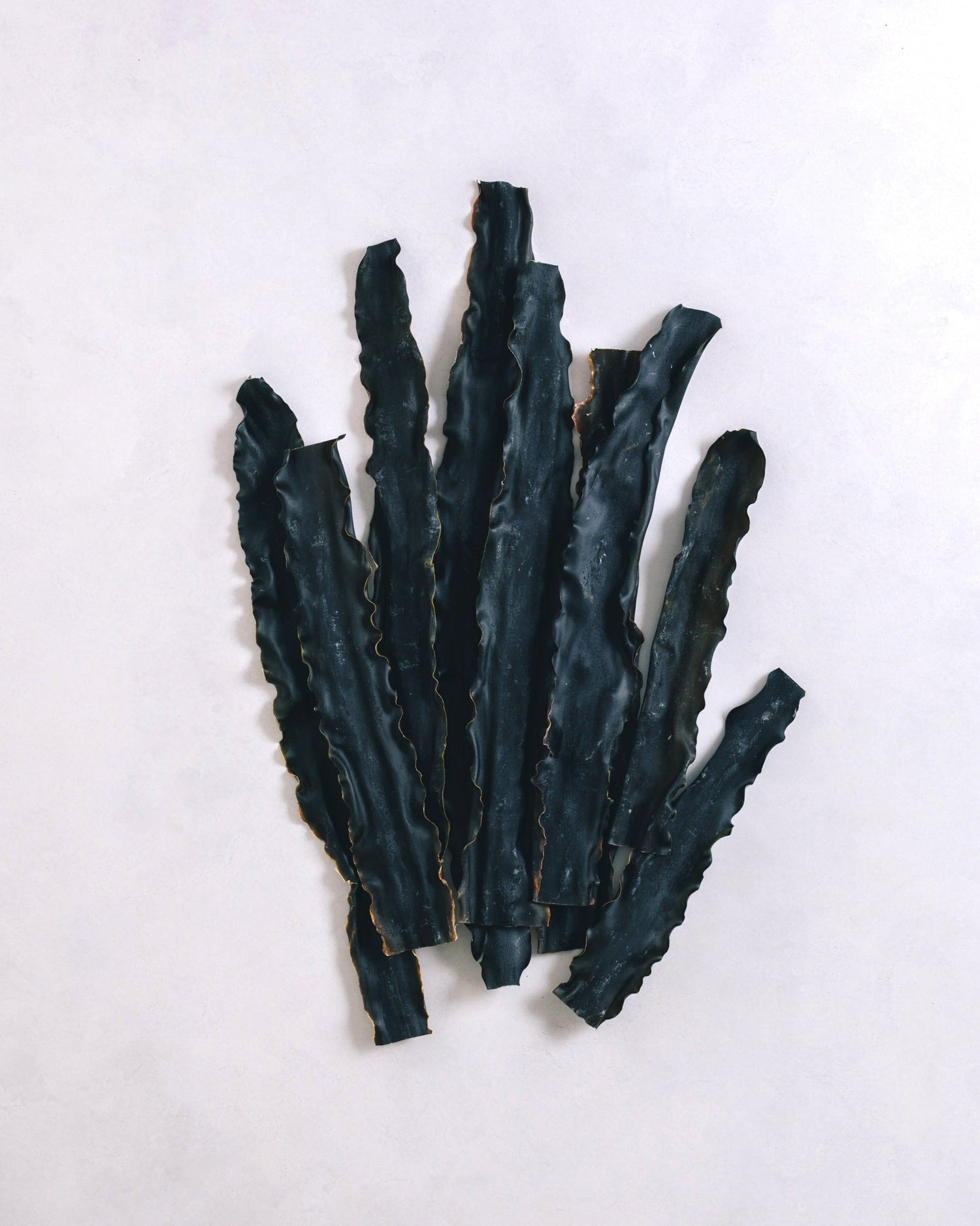 北海道礼文島　2025年夏獲れ利尻昆布　通常　300g　1pc