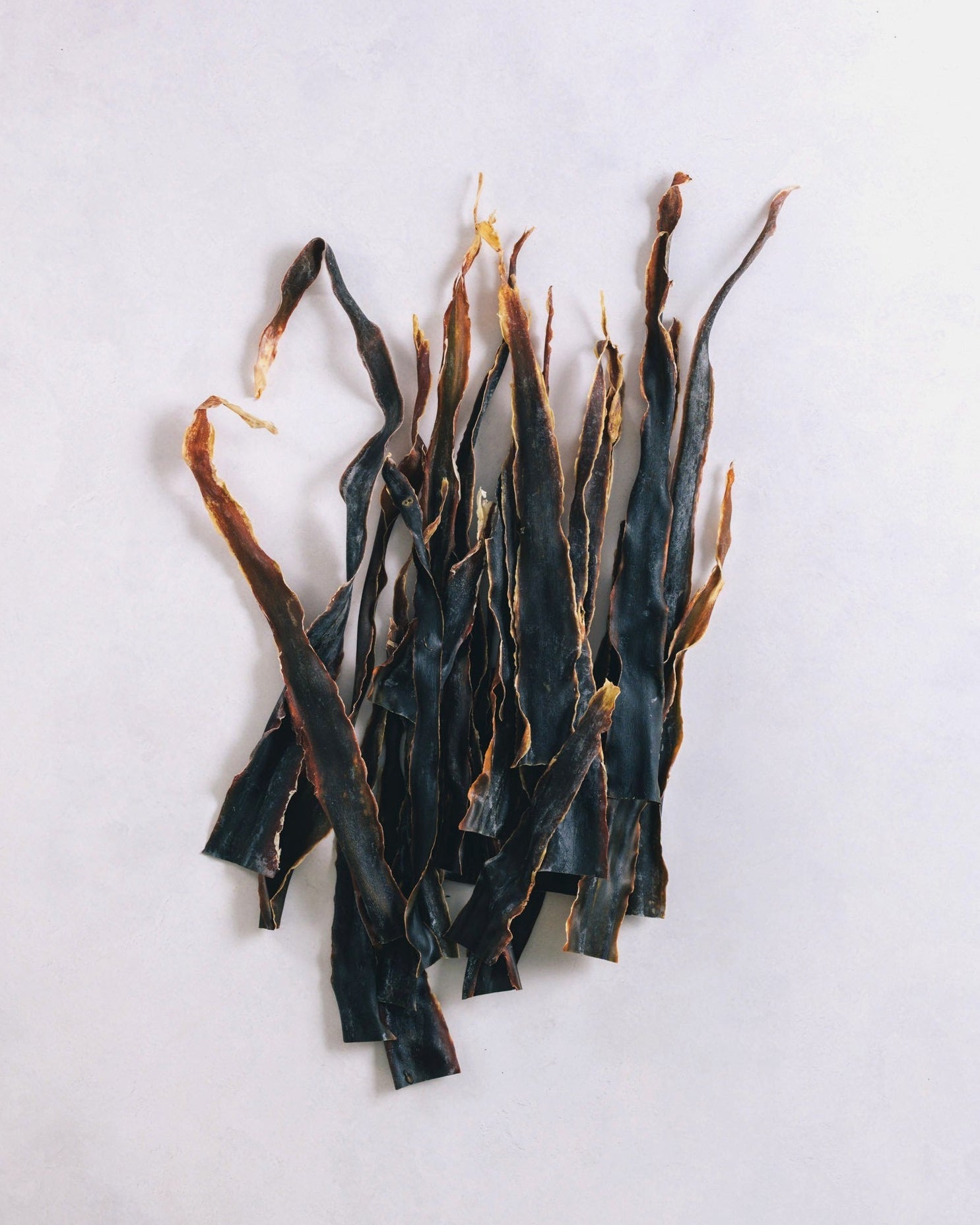 北海道礼文島　2025年夏獲れ利尻昆布　先　300g　1pc