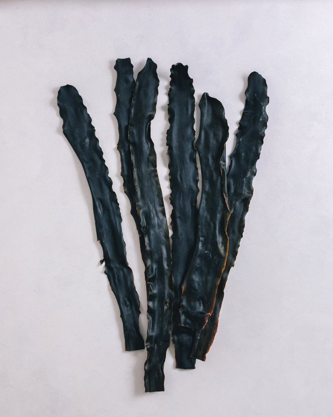 Toyama Bay Seasonal Seafood Set A (3-5 types, approximately 2.5 kg)