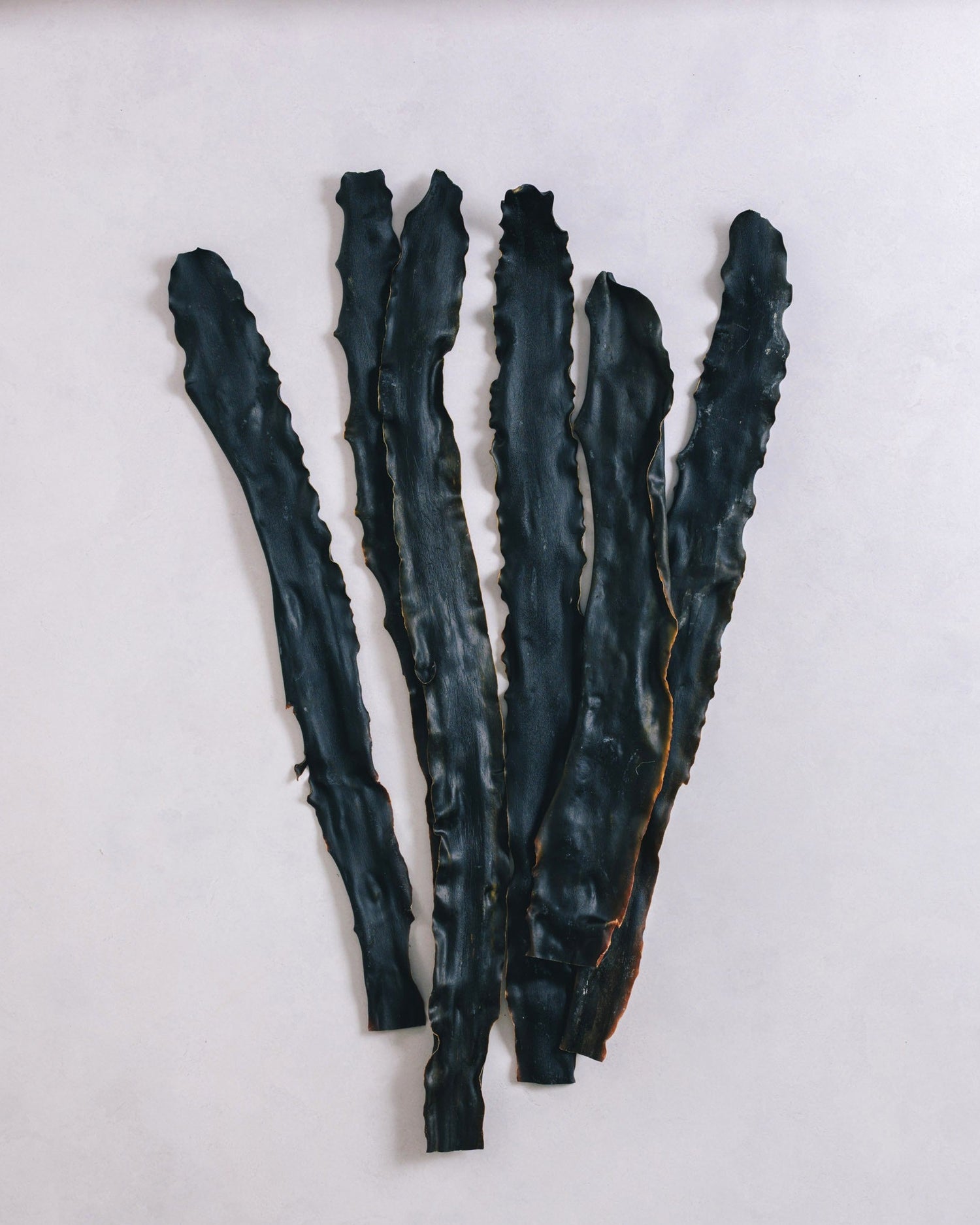 北海道礼文島　2024年夏獲れ利尻昆布　プレミアム　300g　1pc