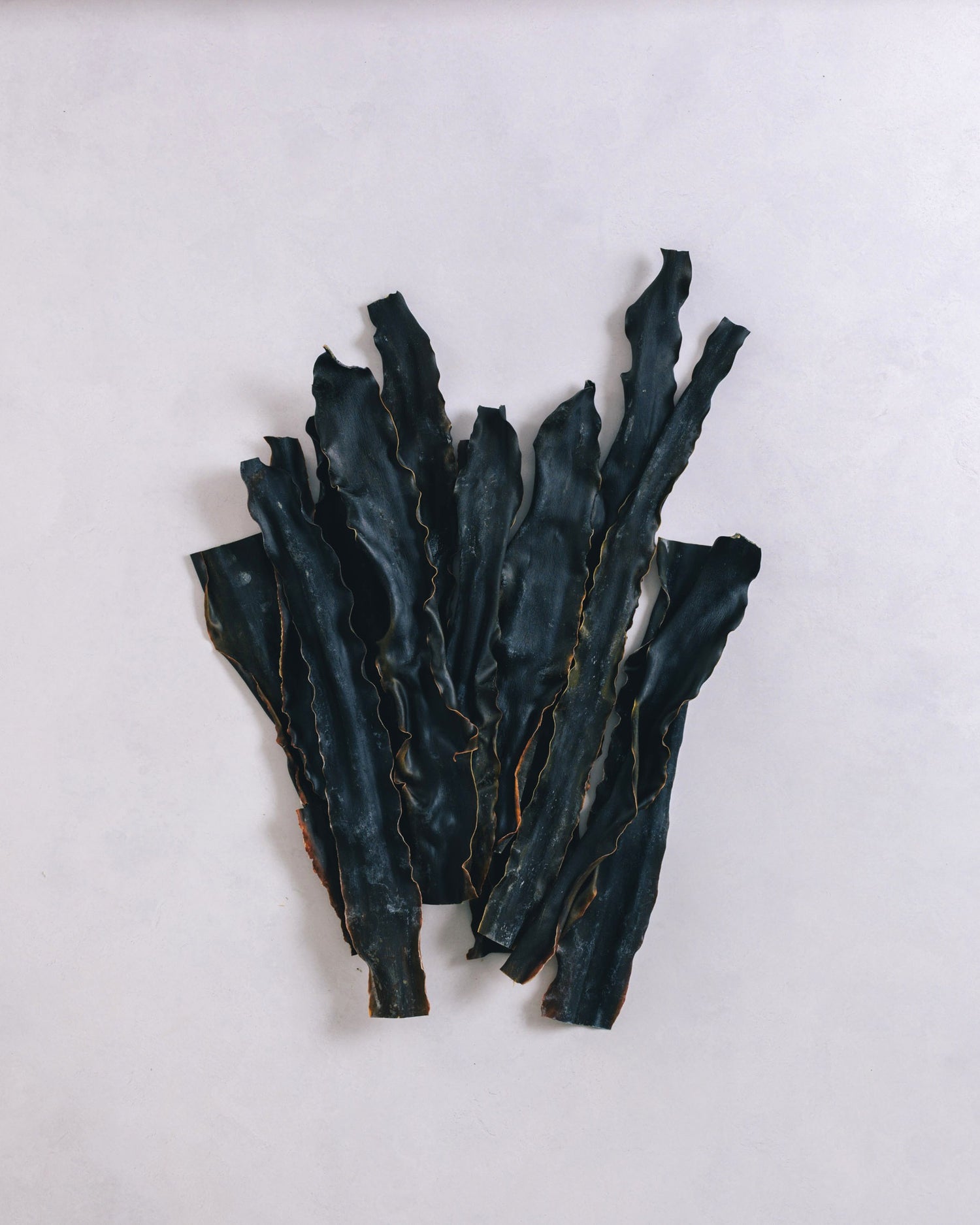 北海道礼文島　2024年夏獲れ利尻昆布　通常　300g　1pc