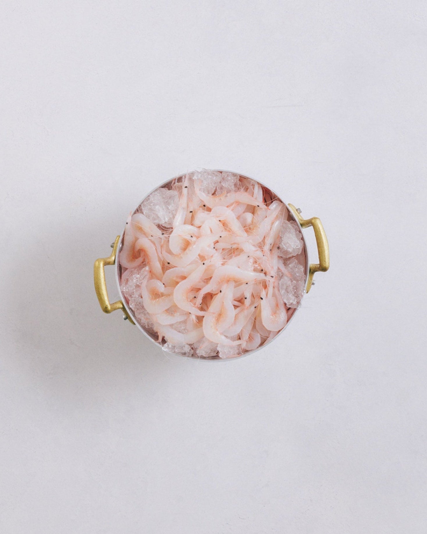 富山県産刺身用白エビ殻付　500g（1pc）　冷凍　