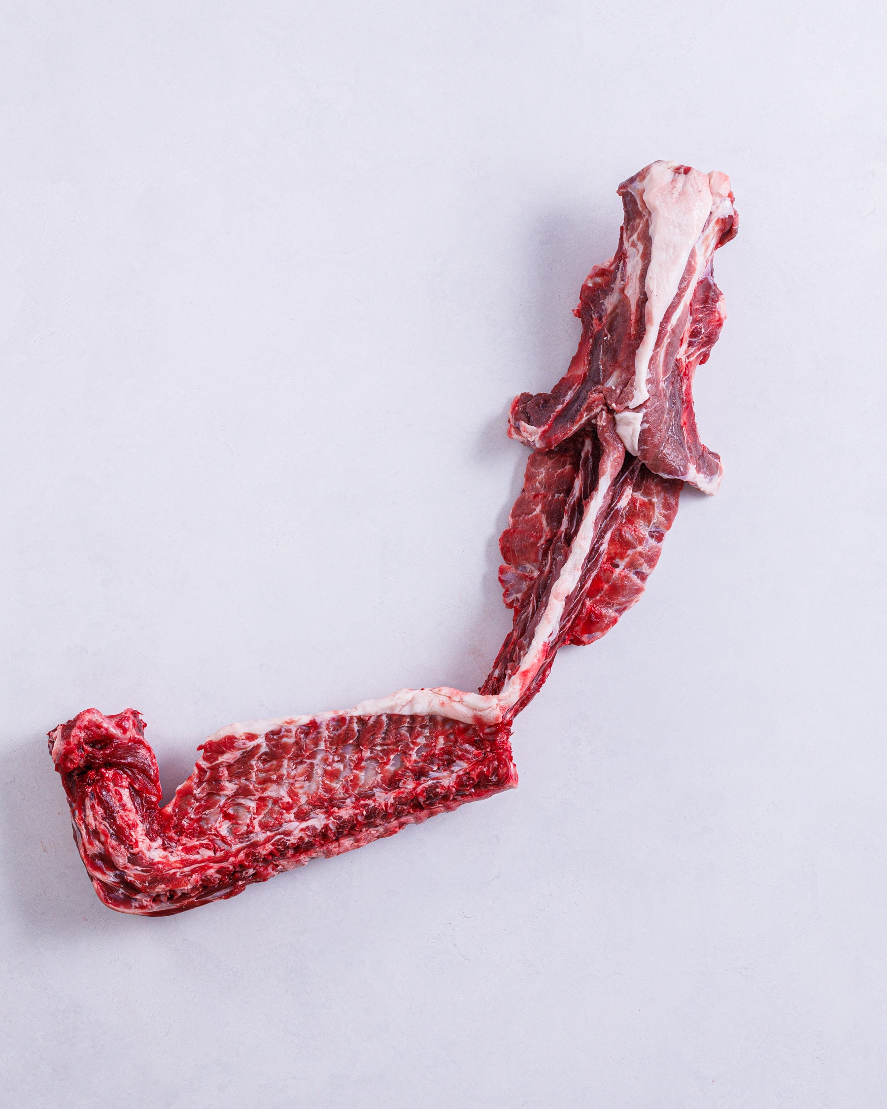 Frozen Filleted Conger Eel from Tsushima, Nagasaki Prefecture, 1kg (sample)