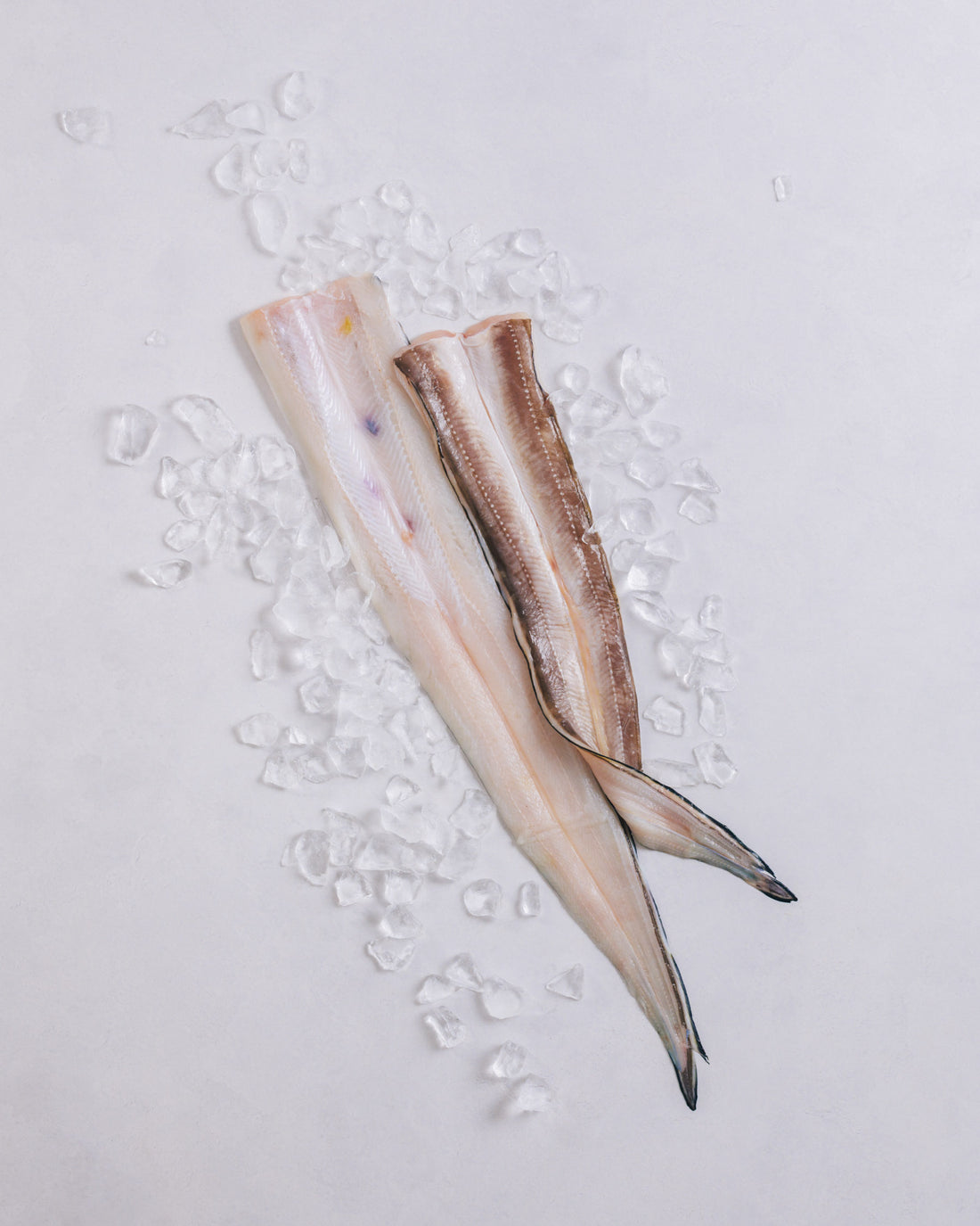 長崎県対馬　氷締め穴子の開き　4kg　冷凍