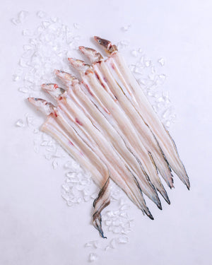 長崎県対馬　神経締め穴子の開き　約2.5kg　冷凍