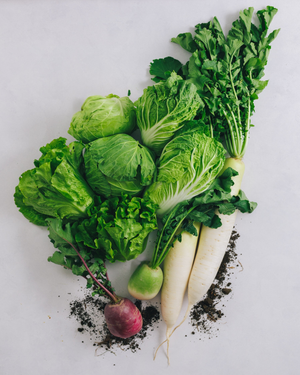 千葉県館山・南房総　旬の野菜お試しセット