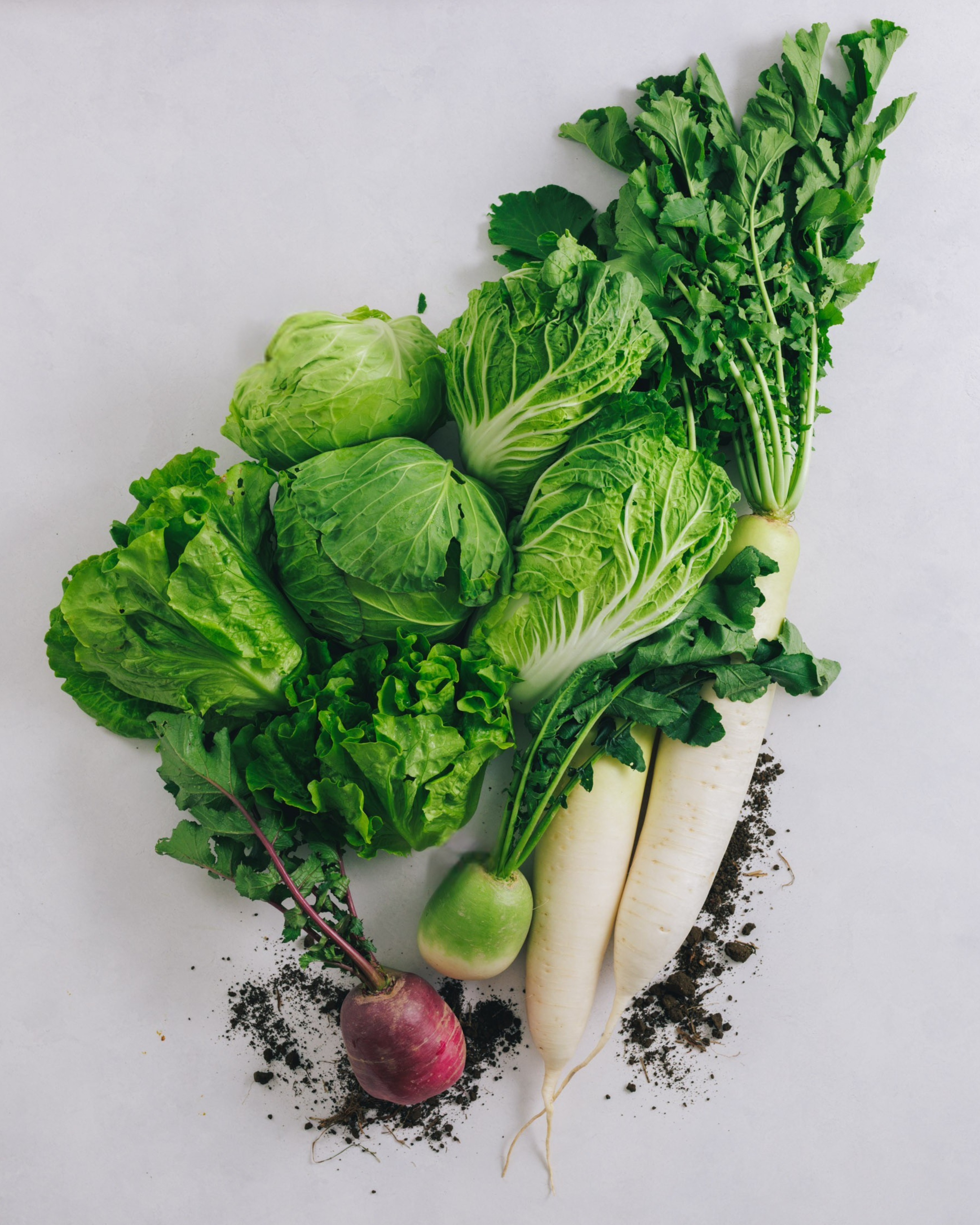 千葉県館山・南房総　旬の野菜お試しセット