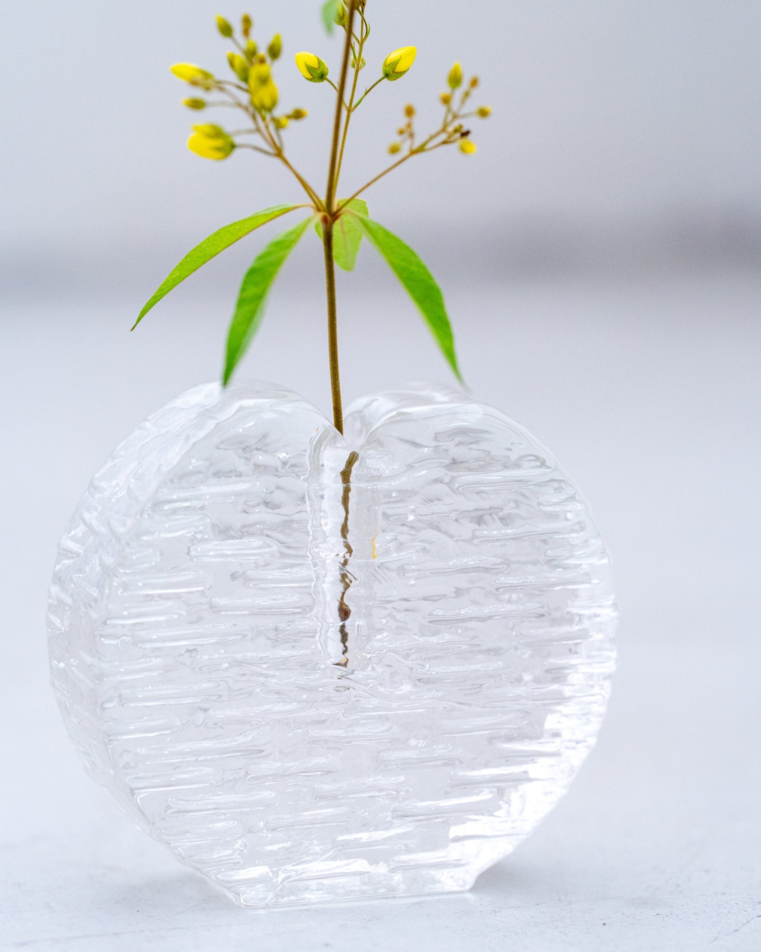 ヴィンテージフラワーベース（glass C）