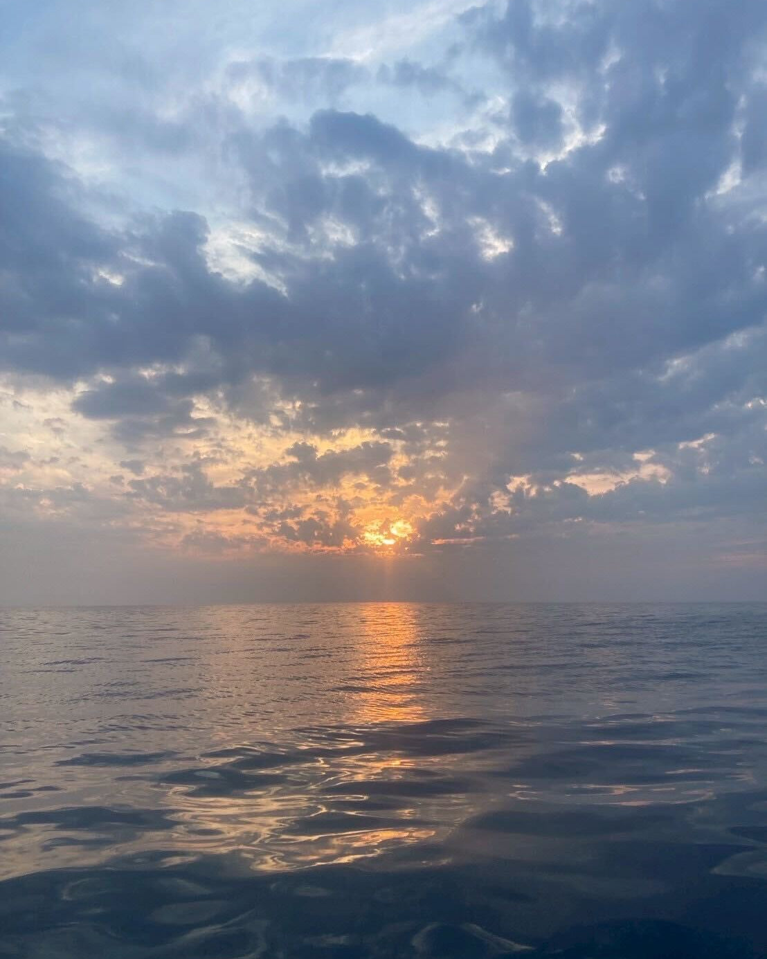 長崎県対馬　蒸しヒオウギ貝 2個入　10pc　冷凍