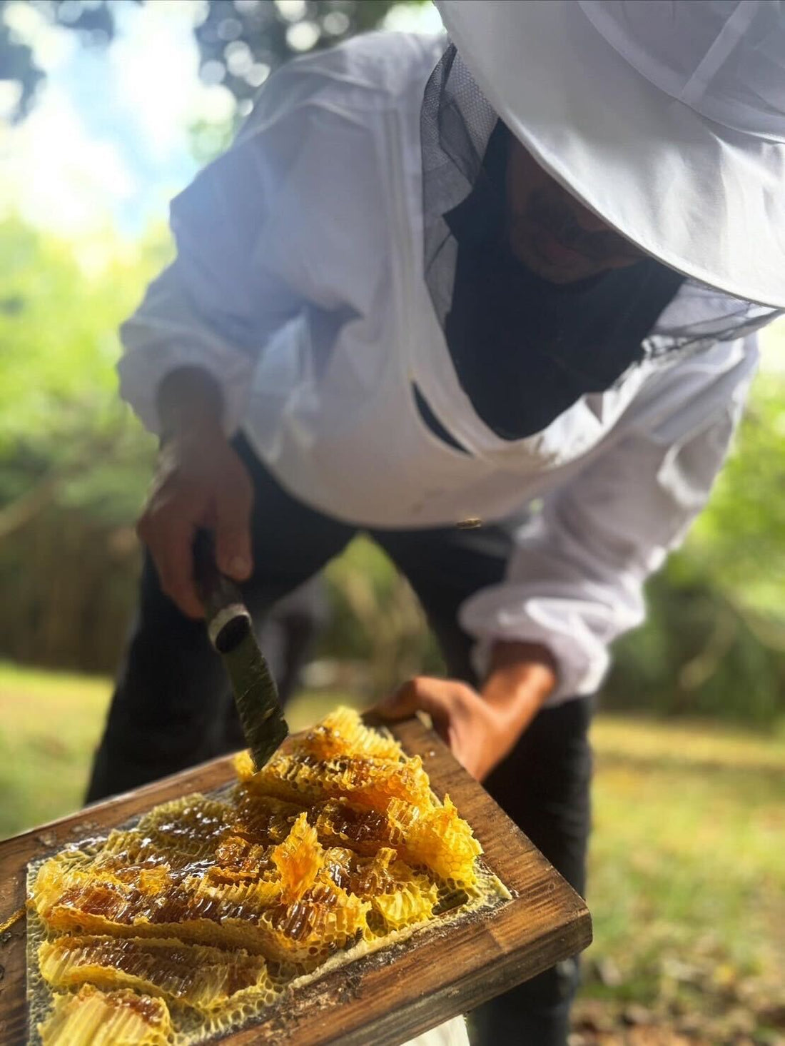 長崎県対馬　日本ミツバチ　蜂蜜　250ml