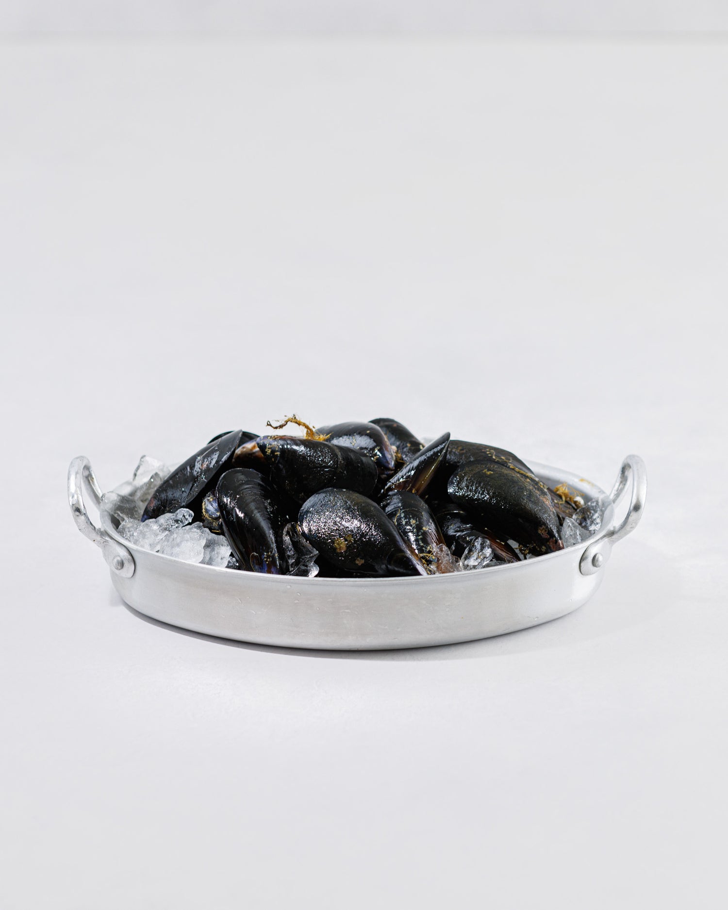 Toyama Bay Seasonal Seafood Set A (3-5 types, approximately 2.5 kg)