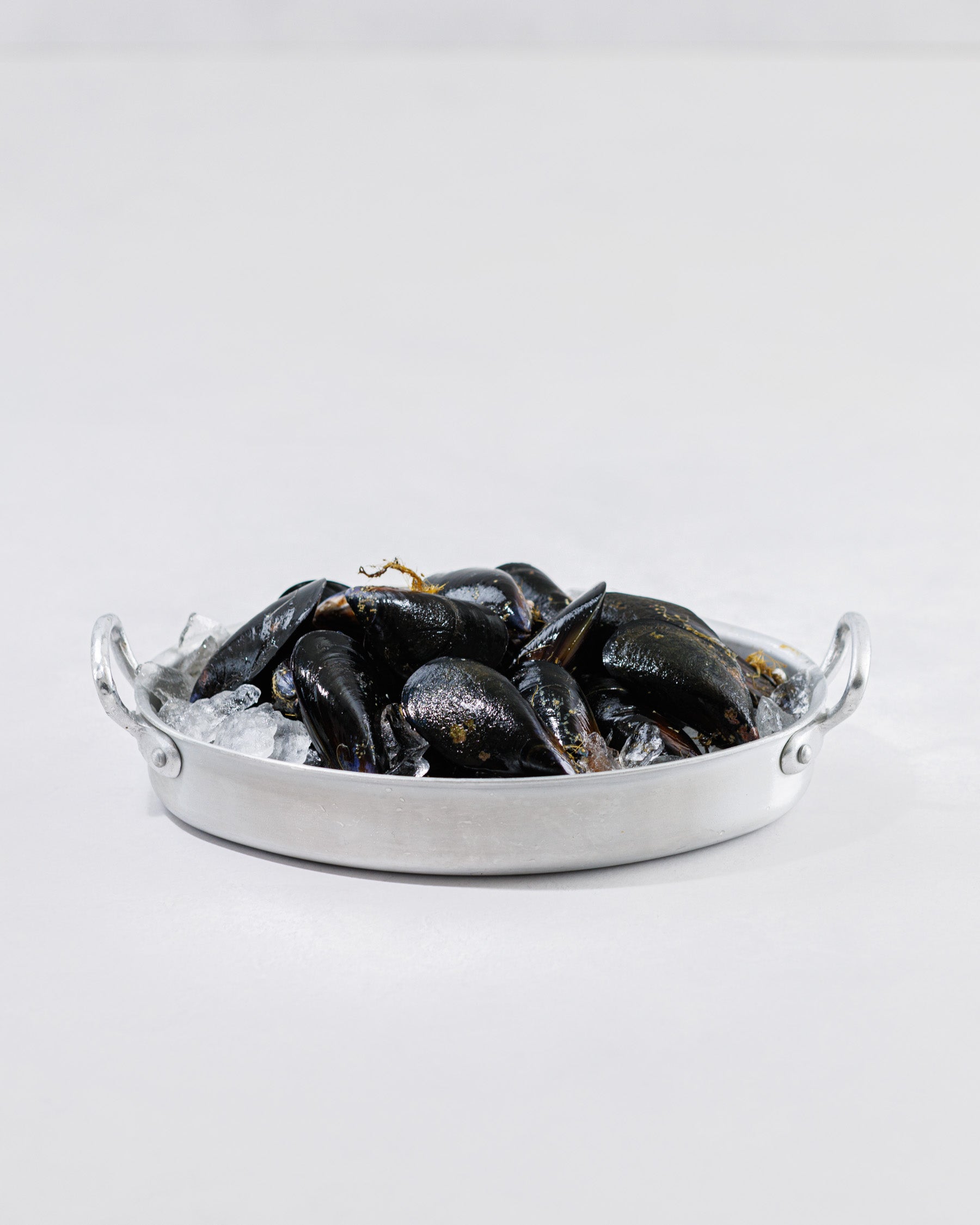 Toyama Bay Seasonal Seafood Set A (3-5 types, approximately 2.5 kg)