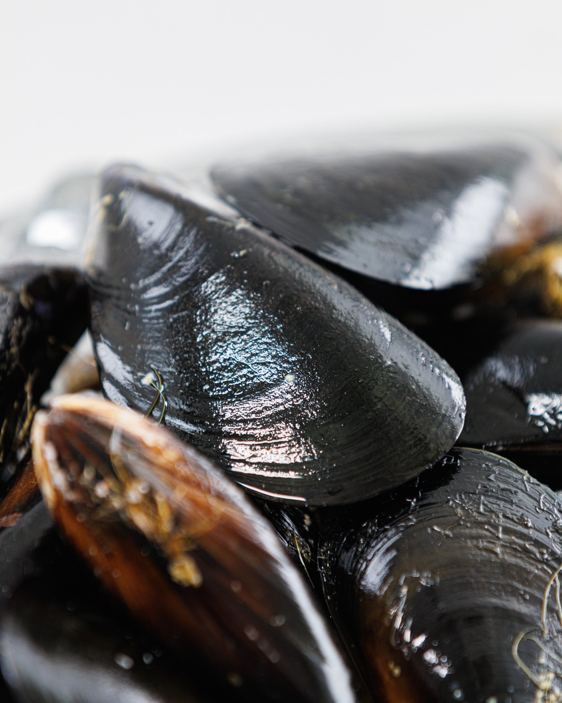 Toyama Bay Seasonal Seafood Set A (3-5 types, approximately 2.5 kg)