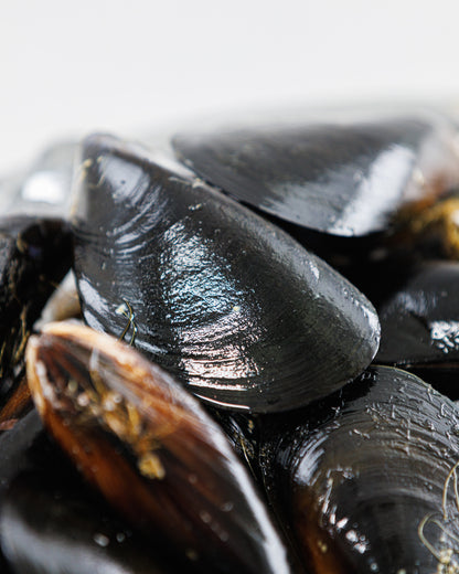 Toyama Bay Seasonal Seafood Set A (3-5 types, approximately 2.5 kg)
