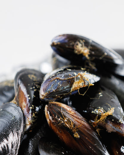 Toyama Bay Seasonal Seafood Set A (3-5 types, approximately 2.5 kg)