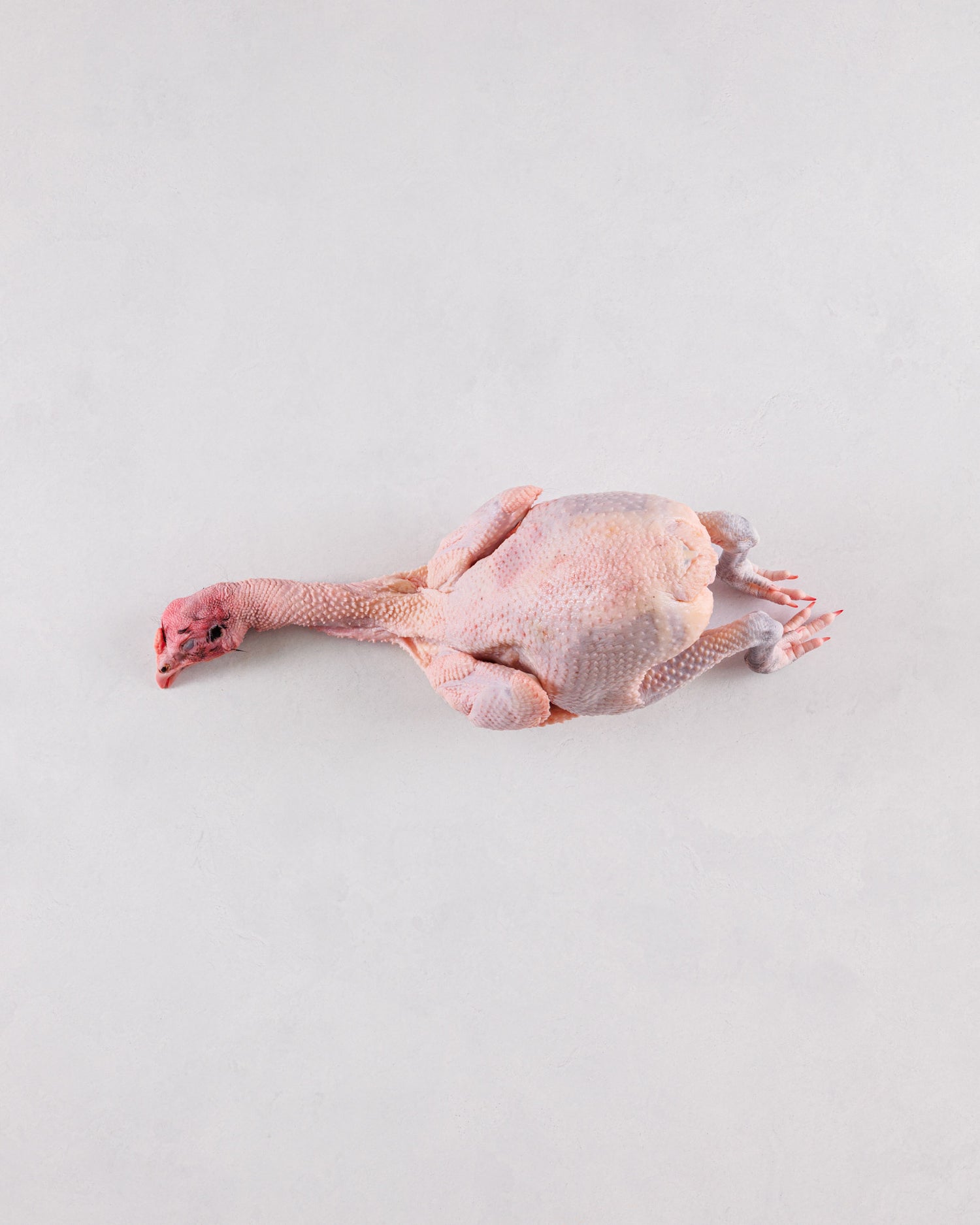 Kamogawa, Chiba Prefecture, Game Meat, Deer Shintama, 2 packs (1.2kg-1.5kg), Frozen