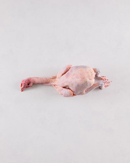 Kamogawa, Chiba Prefecture, Game Meat, Deer Shintama, 2 packs (1.2kg-1.5kg), Frozen