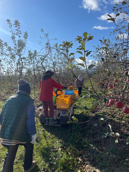 長野県安曇野市 100％りんごジュース お試し2本セット（サンツガル）